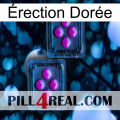 Érection Dorée 03